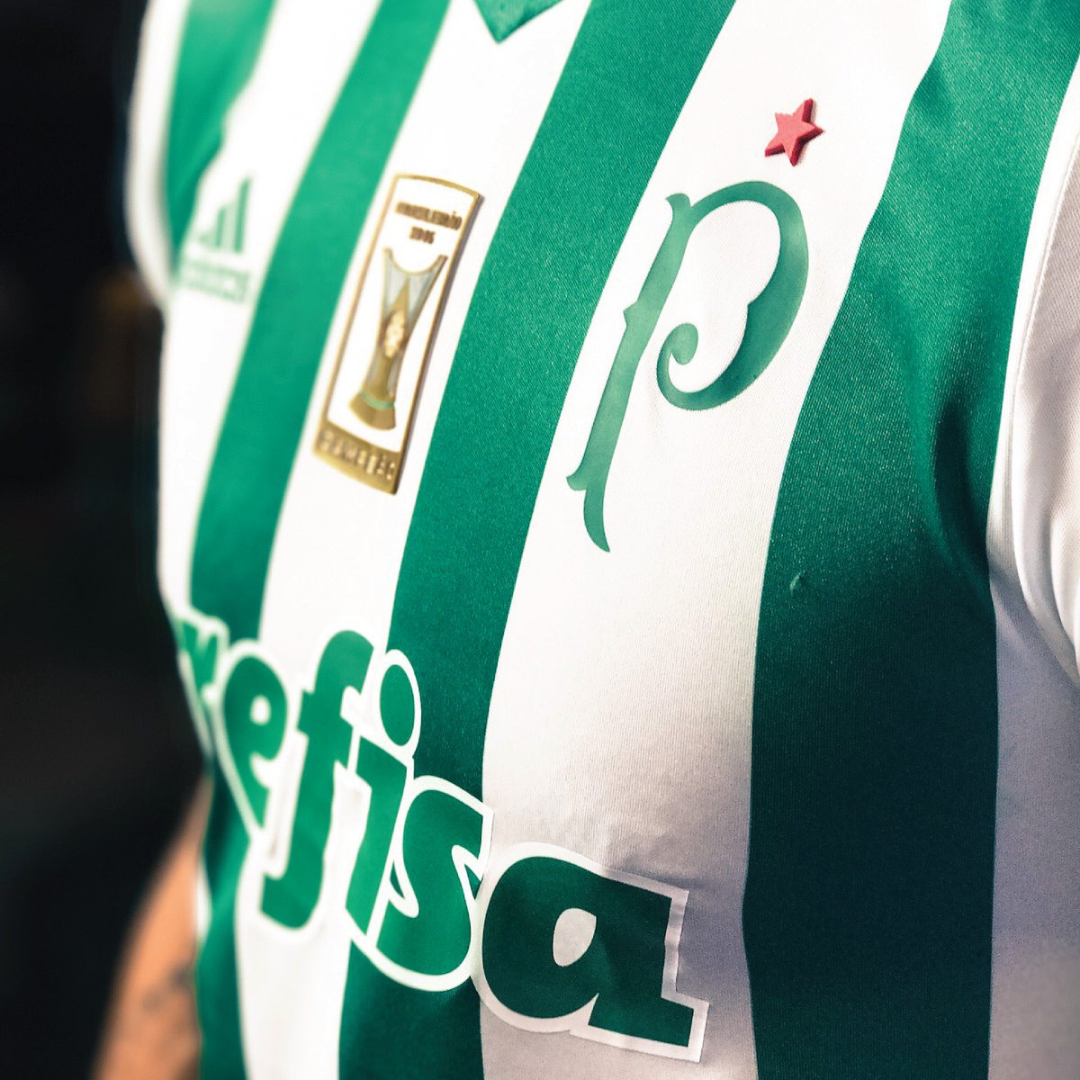 camisa palmeiras iii 2017