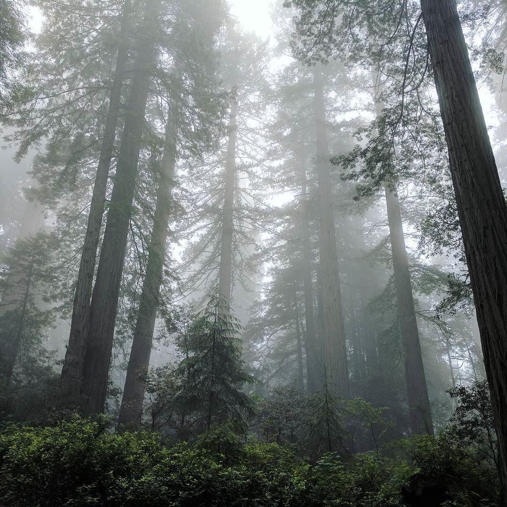 Wandering the Lost Coast ift.tt/2sFqQQg