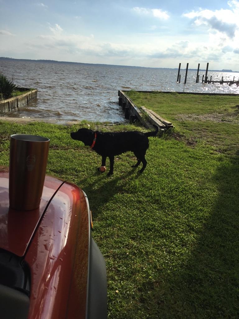 WarAgainstWarm's tweet photo. Need to #HoldCold beer this summer? --> https://t.co/rHdgDog4B3 <-- Sorry, #WetDog not included. #WarAgainstWarmBeer #Craftbeerlife https://t.co/P8Chlo3LgK