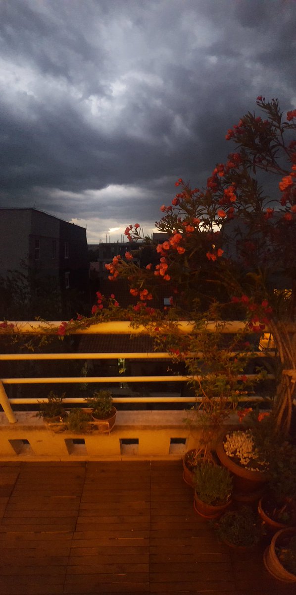 Xpoznat's tweet image. Како да не уживаш во денов?