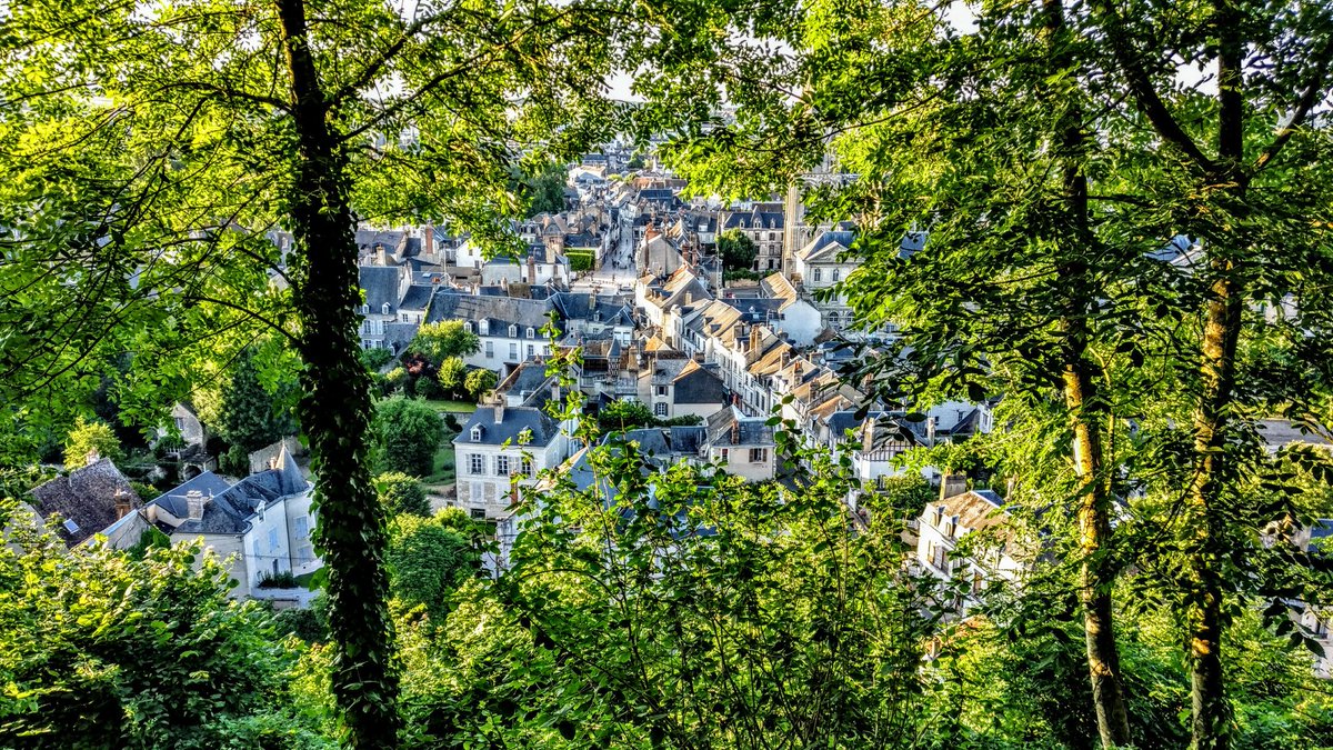 nyludo's tweet image. 