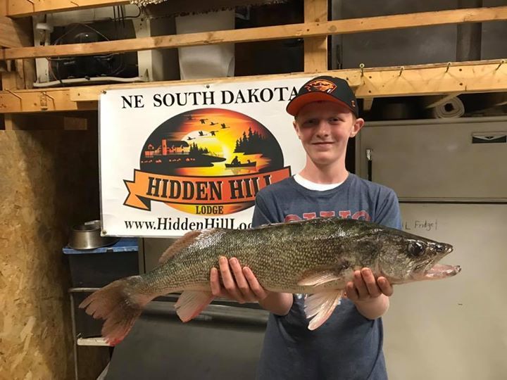 Hidden Hill Lodge tweet media