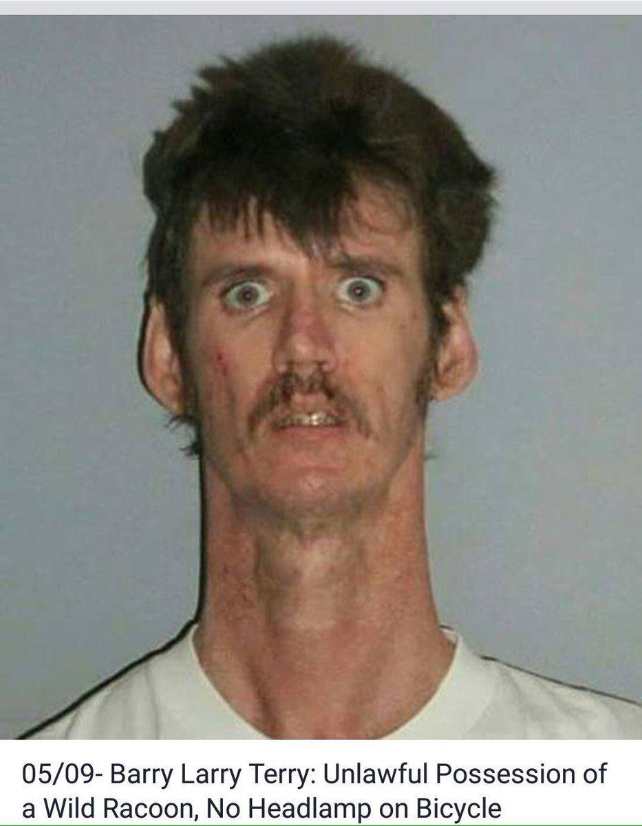 BondiSurgeBlog's tweet photo. Everybody talking about DCE's long neck and not making #Origin. I tracked him down - he didn't take the news well apparently #longneck #DCE https://t.co/mtYySlQ2JV