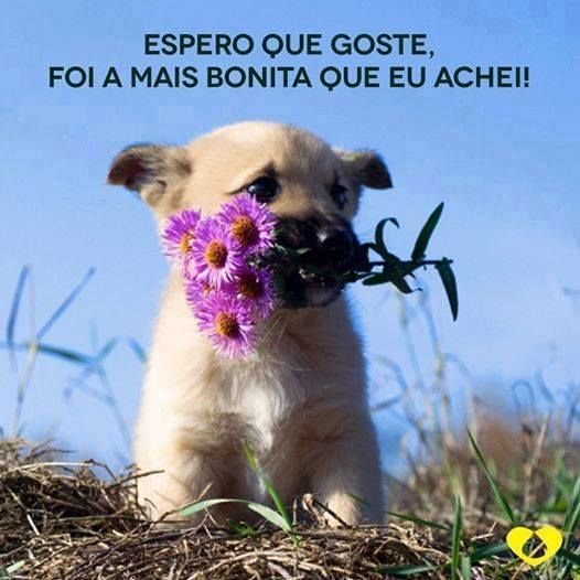 TimbetaDivina's tweet image. 😍😊