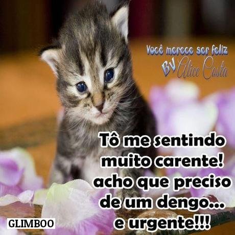 TimbetaDivina's tweet image. 