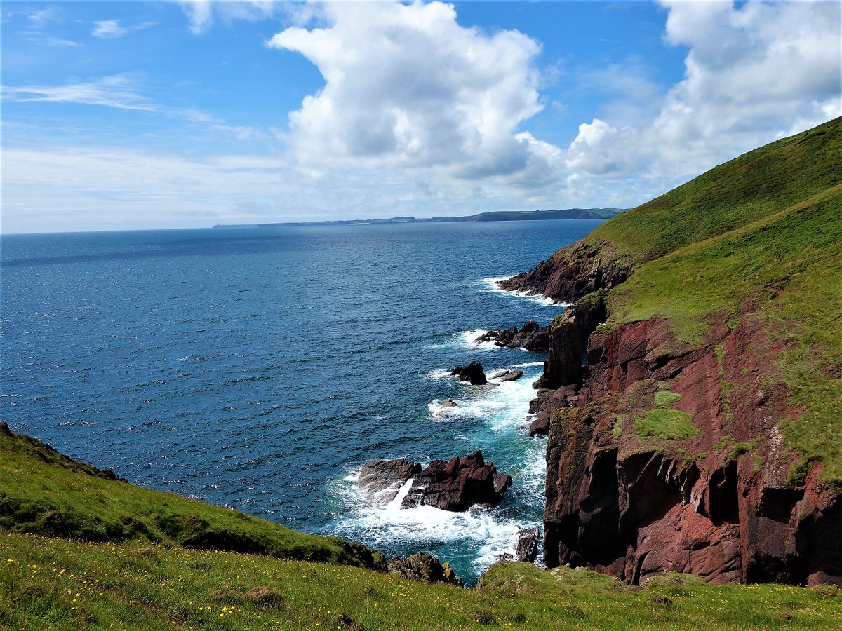 This on a walk from Manorbier near Tenby on the Pembrokeshire Coast - courtesy <a href="/MySaundersfoot/">Love Saundersfoot</a>