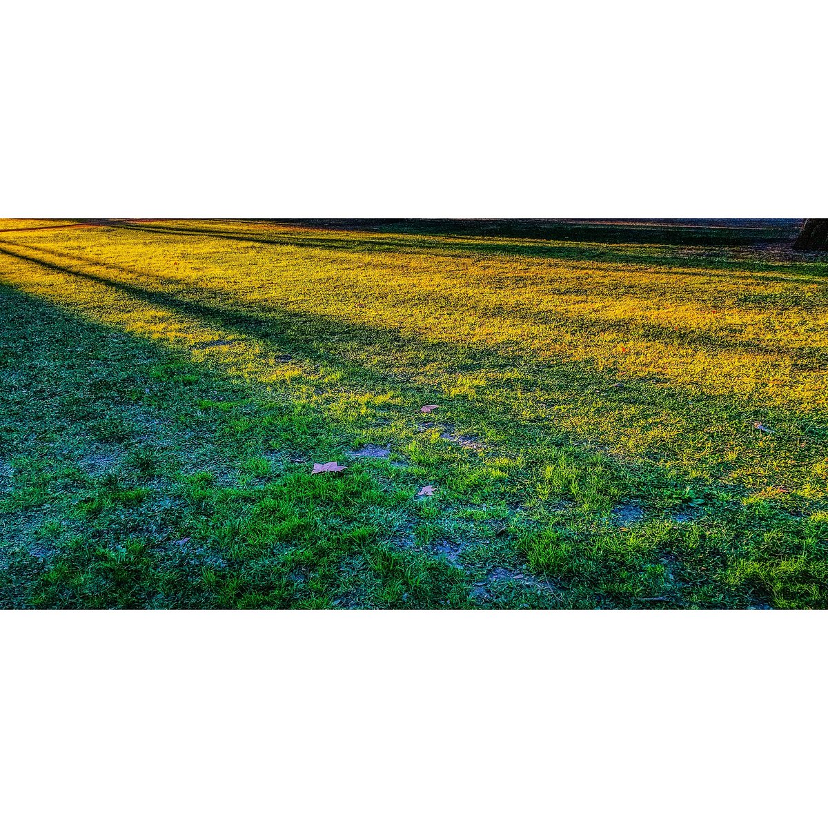 damianbenetucci's tweet image. Me puse delante /
de mis ojos para ver

#elonganding #postrunning #stretching #park #sky #sunset #buenosaires #city #draw #mothernature
