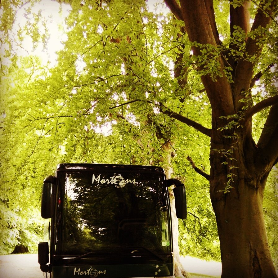 MortonsTravel04's tweet photo. #Greenalltheway https://t.co/tMVdEub7Bq