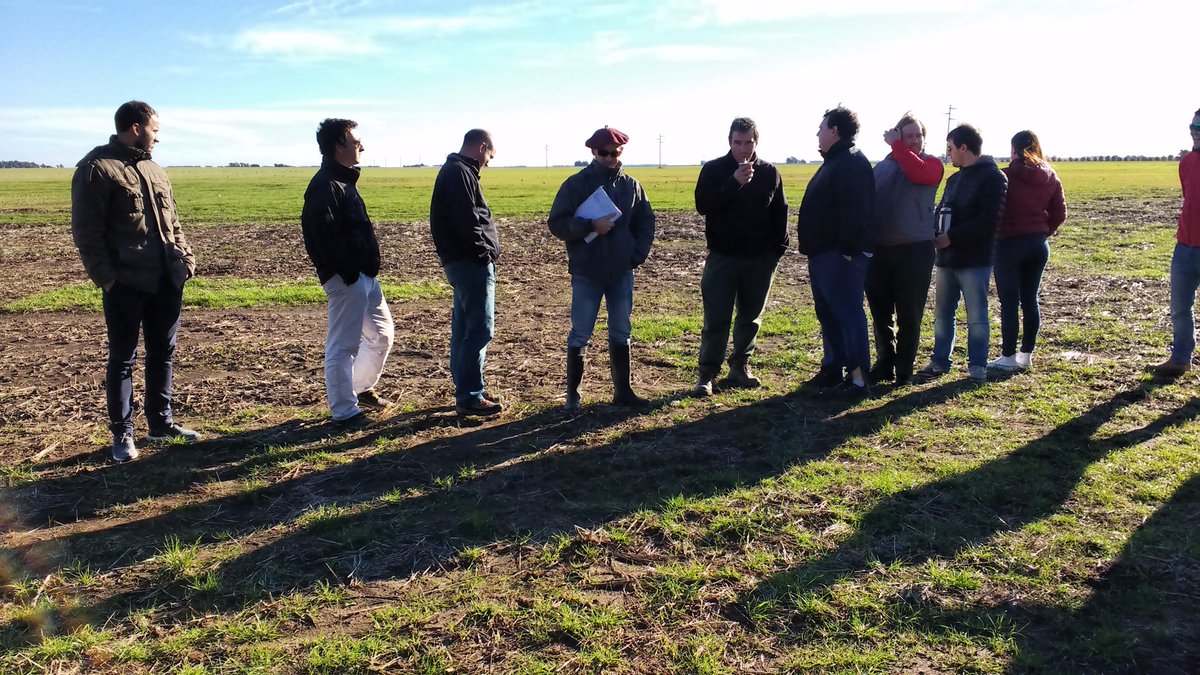 Luis Blanco SA tweet media