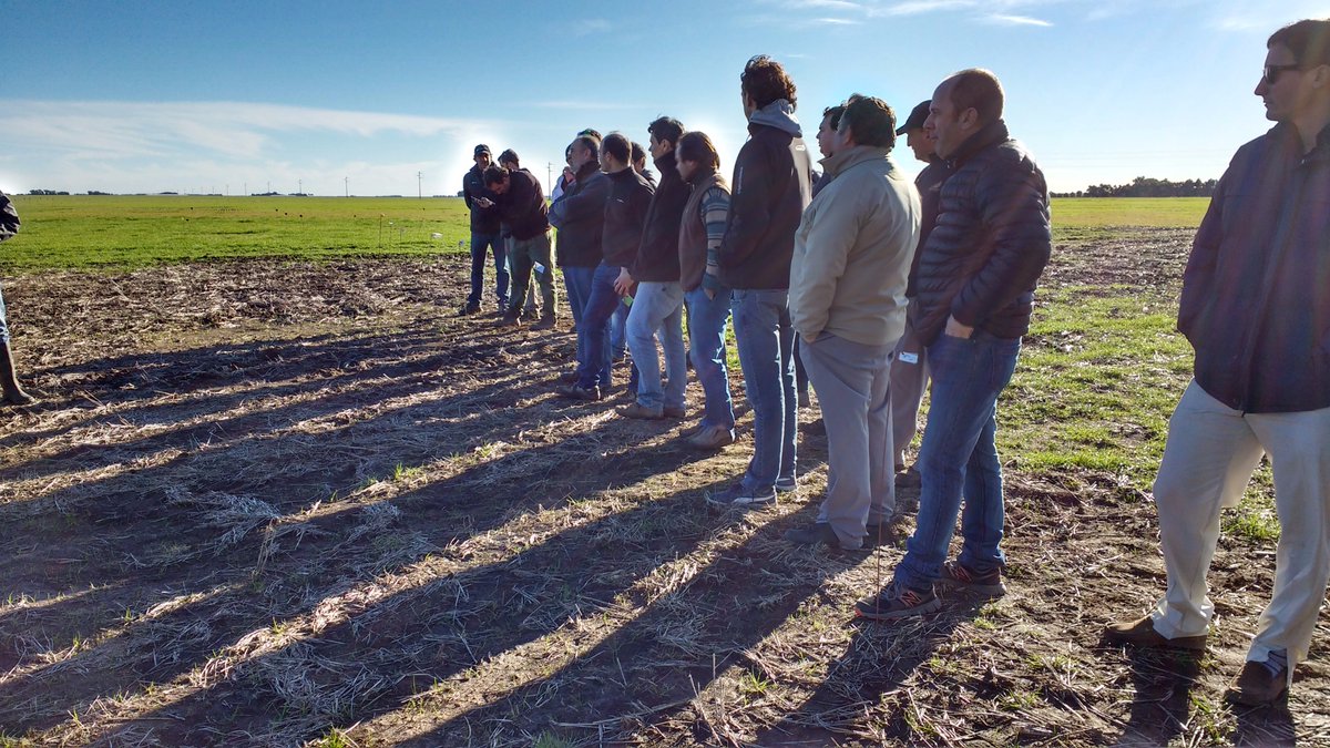 Luis Blanco SA tweet media