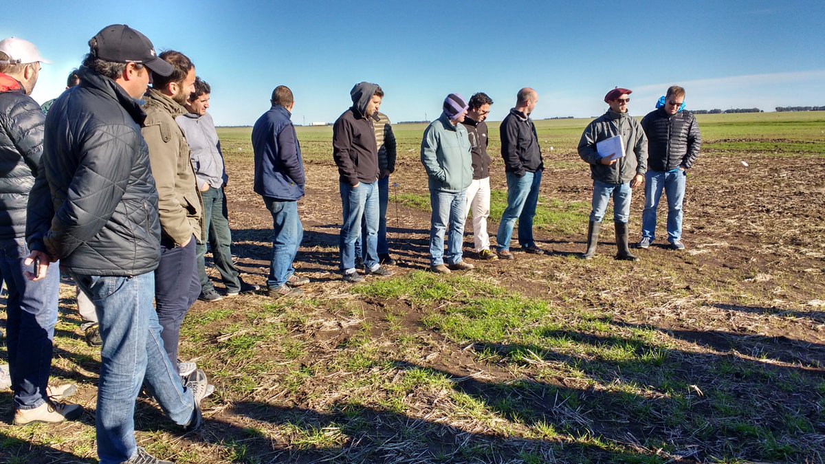 Luis Blanco SA tweet media