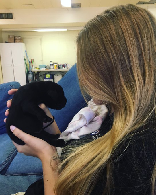 My 1 week old peanut turned 1 year  today https://t.co/XcPW56rxmc<a href="/tag/cancersucks"class="tags"><span>#cancersucks</span></a>