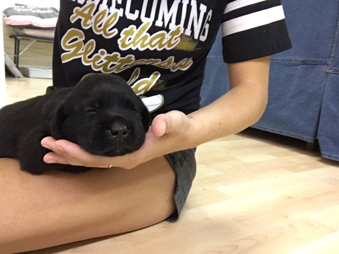 My 1 week old peanut turned 1 year  today https://t.co/XcPW56rxmc<a href="/tag/cancersucks"class="tags"><span>#cancersucks</span></a>