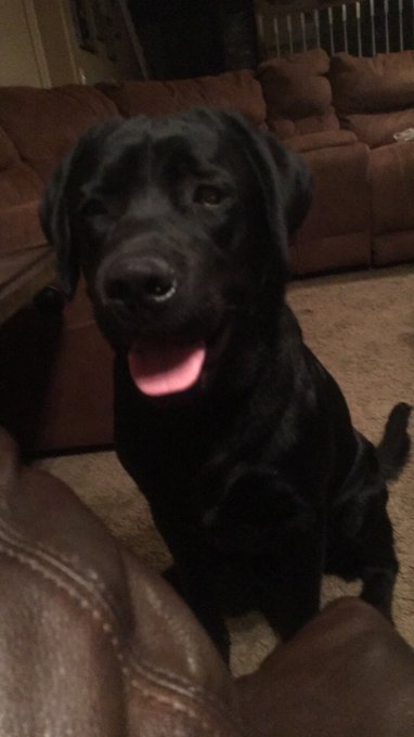 My 1 week old peanut turned 1 year  today https://t.co/XcPW56rxmc<a href="/tag/cancersucks"class="tags"><span>#cancersucks</span></a>