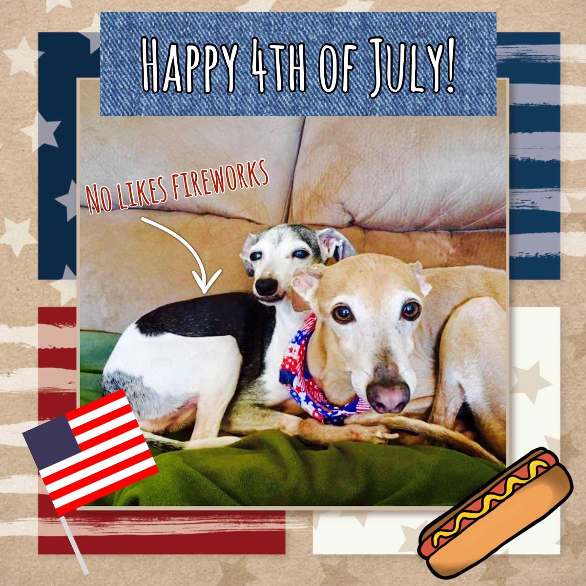 Brody &amp; Mindy wish all a safe &amp; happy #independenceday - If you're scared of fireworks they'll trade cuddles for a 4everhome #4thofjuly