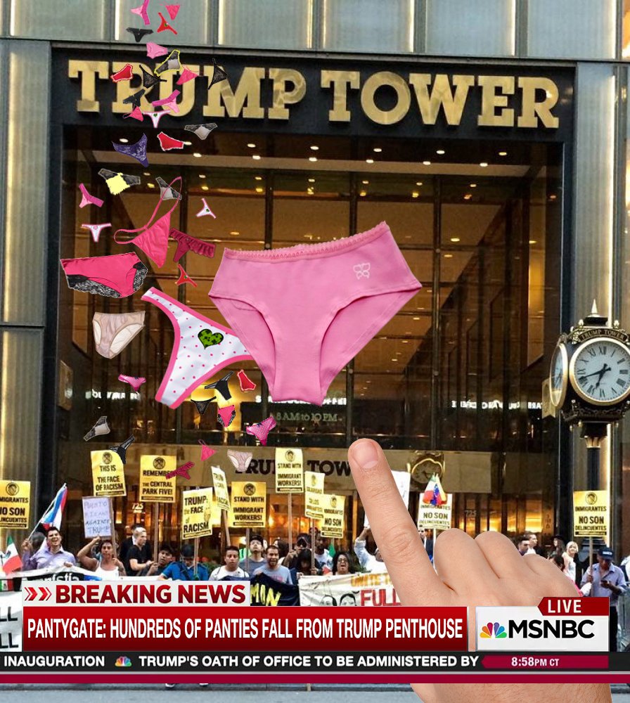 TrumpyGame's tweet image. FAKE NEWS all #FAKENEWS! NOT Miss Universe panty collection - zip it @AlecBaldwin! Play Episode 1 on TrumpyGame.com #4thOfJuly2017
