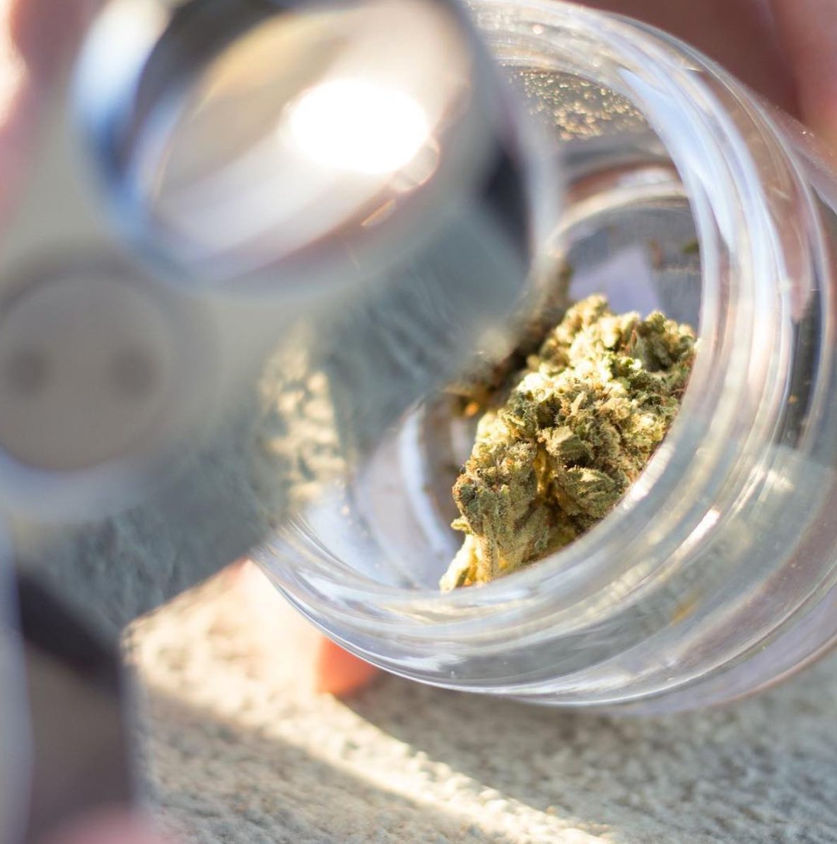 We're looking at your weed buff.ly/2sFEums