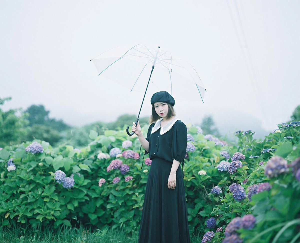 Ohno 4cf3 雨と傘と紫陽花part2 フィルム版 シンガーソングライター 舛谷美来さん Yknkicg くりはま花の国 ポートレート 写真好きな人と繋がりたい ファインダー越の私の世界 Ohno 4cf3 雨と傘と紫陽花part2 フィルム版 シンガーソングライター 舛谷美来さん Yknkicg くりはま花の国 ポートレート 写真好きな人と繋がりたい ファインダー越の私の世界