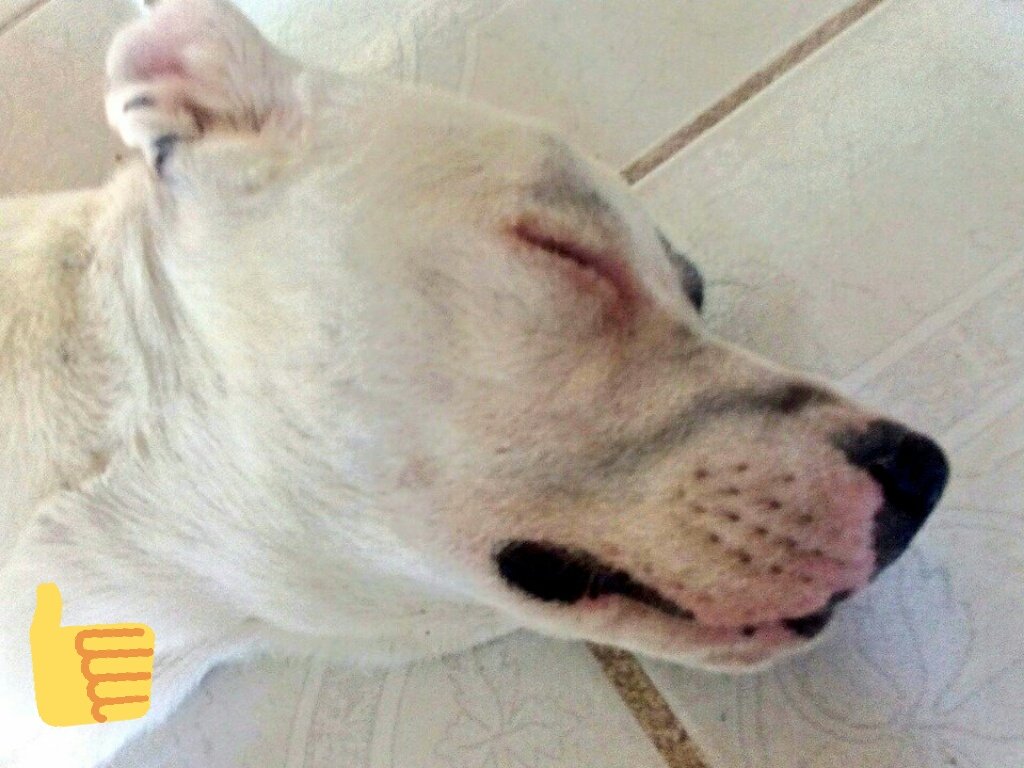 Alexa27496525's tweet photo. Como cuando llegas de la escuela https://t.co/GHvN5tzGcG