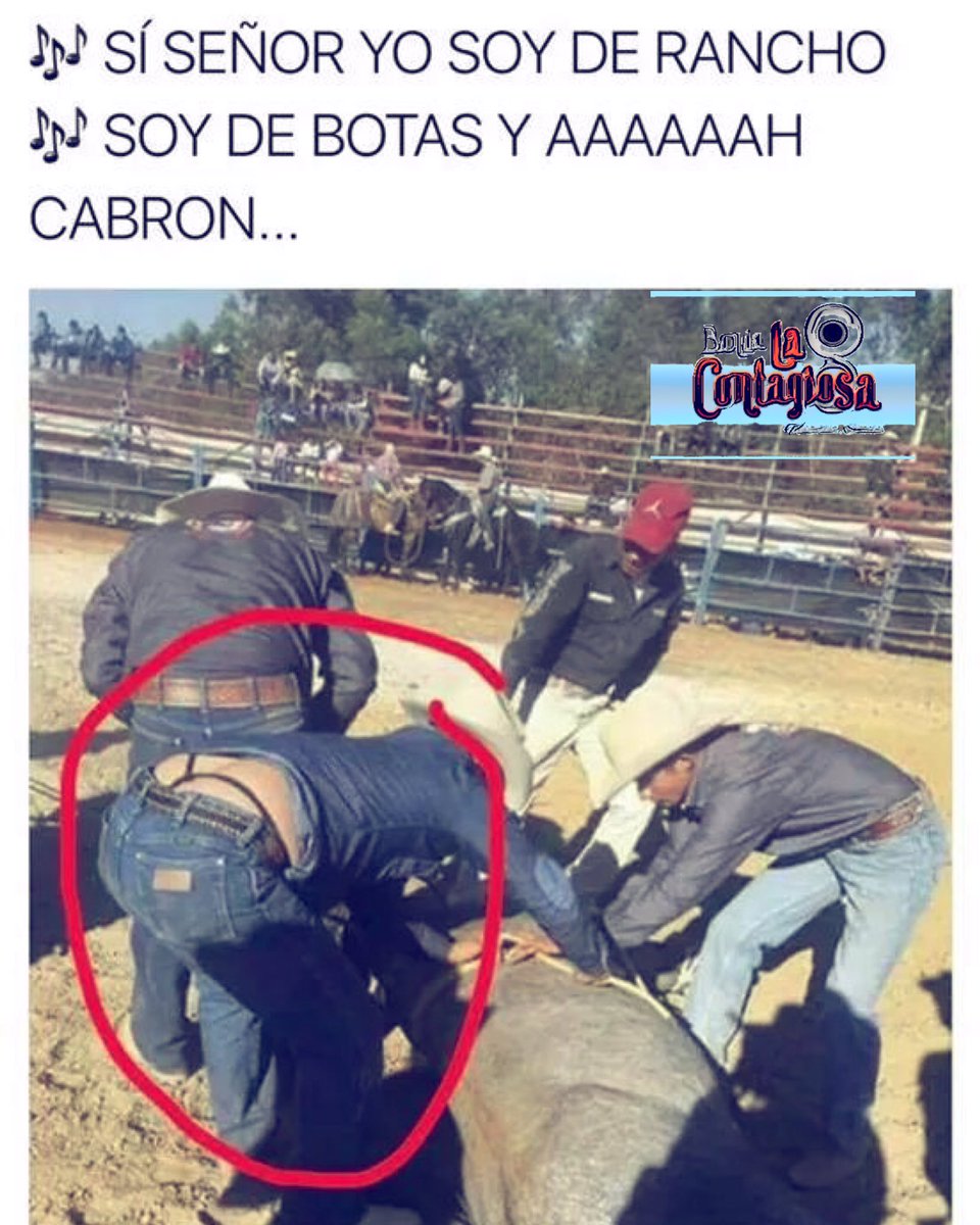 LaContagiosaMX's tweet photo. PÓNGANSE TRUCHAS RAZA NO TODO LO QUE BRILLA ES ORO!!!. Jajaja
@BNDACONTAGIOSA 
#HumildeDeAbolengo #Besame😘 https://t.co/nKNF3rOgNa