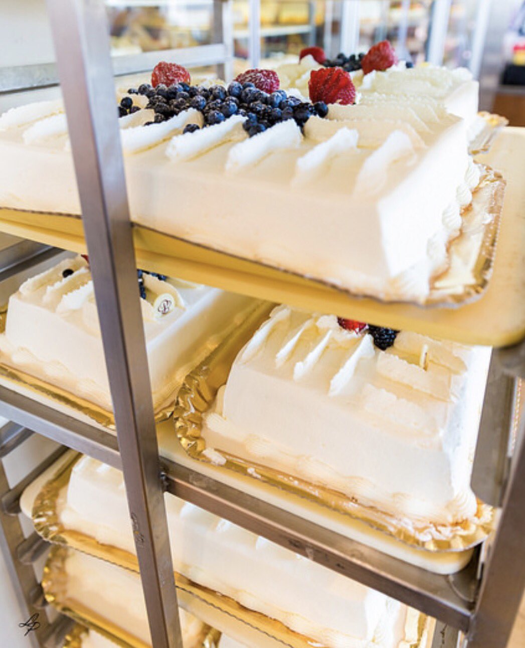 Top more than 62 milk and berries cake awesomeenglish.edu.vn