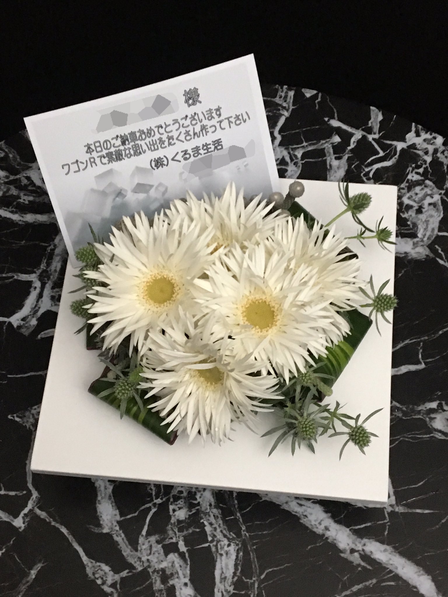 Designer S Studio F בטוויטר ちょっと変わったガーベラのご紹介です 細い花びらが無数にある その名も スパイダー咲き 今回は白いお車のご納車お祝いということで 白のスパイダー咲きガーベラを 集めてみました 納車 くるま生活 ワゴンr 白 T Co