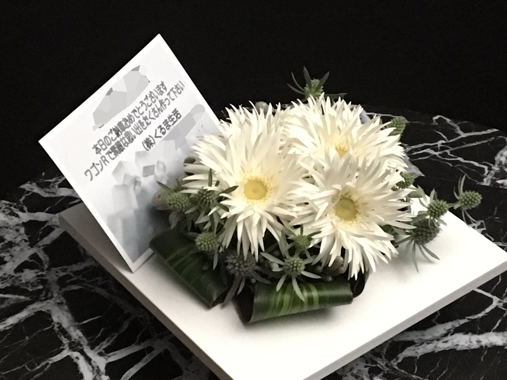 Designer S Studio F בטוויטר ちょっと変わったガーベラのご紹介です 細い花びらが無数にある その名も スパイダー咲き 今回は白いお車のご納車お祝いということで 白のスパイダー咲きガーベラを 集めてみました 納車 くるま生活 ワゴンr 白 Designer S Studio F בטוויטר ちょっと変わったガーベラのご紹介です 細い花びらが無数にある その名も スパイダー咲き 今回は白いお車のご納車お祝いということで 白のスパイダー咲きガーベラを 集めてみました 納車 くるま生活 ワゴンr 白