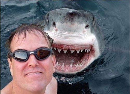 sharktankvevo's tweet photo. When a hopeful entrepreneur enters the tank with no proof of concept or patent https://t.co/H57XeR5GOe