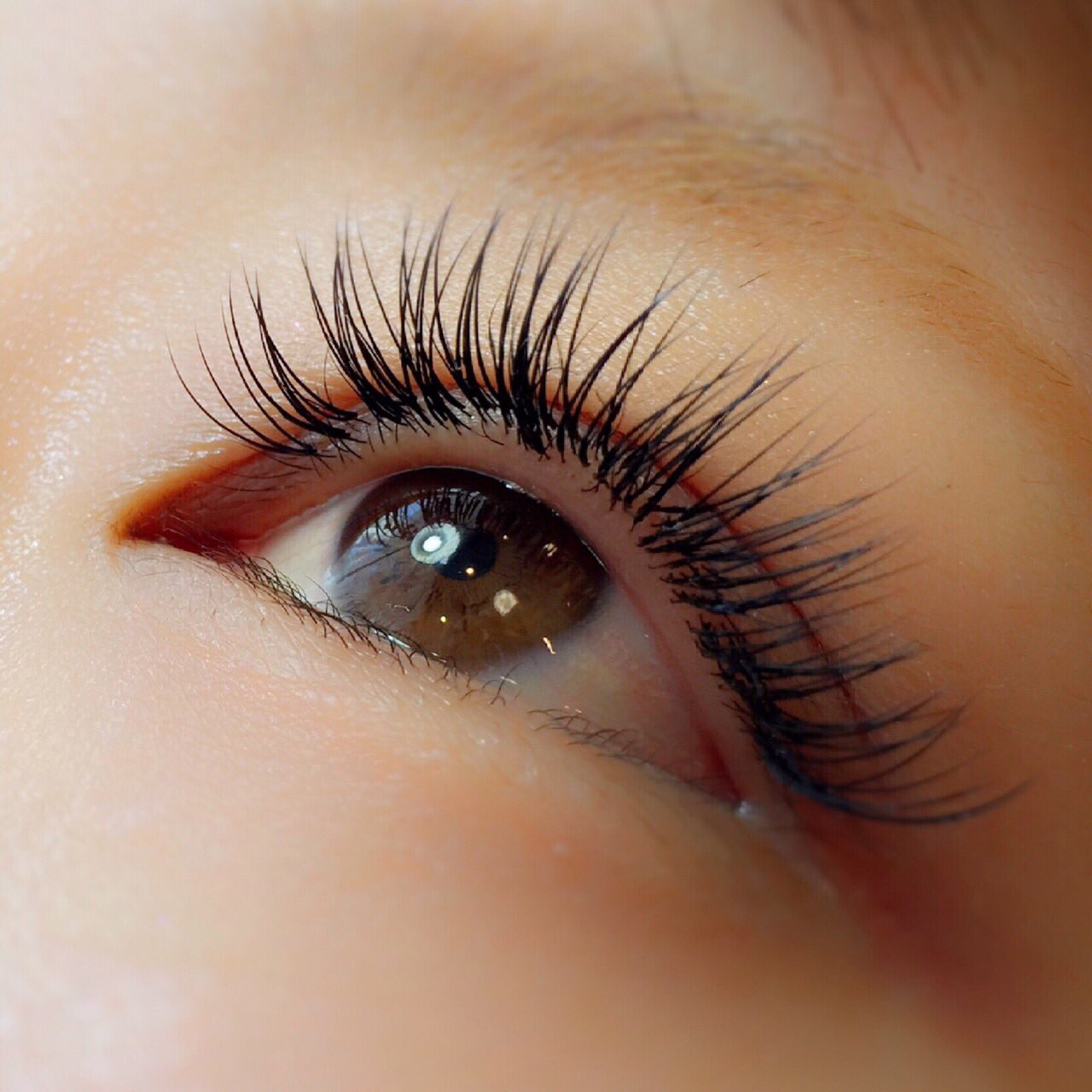 Hi Chi Hi Chi71eyelash Twitter