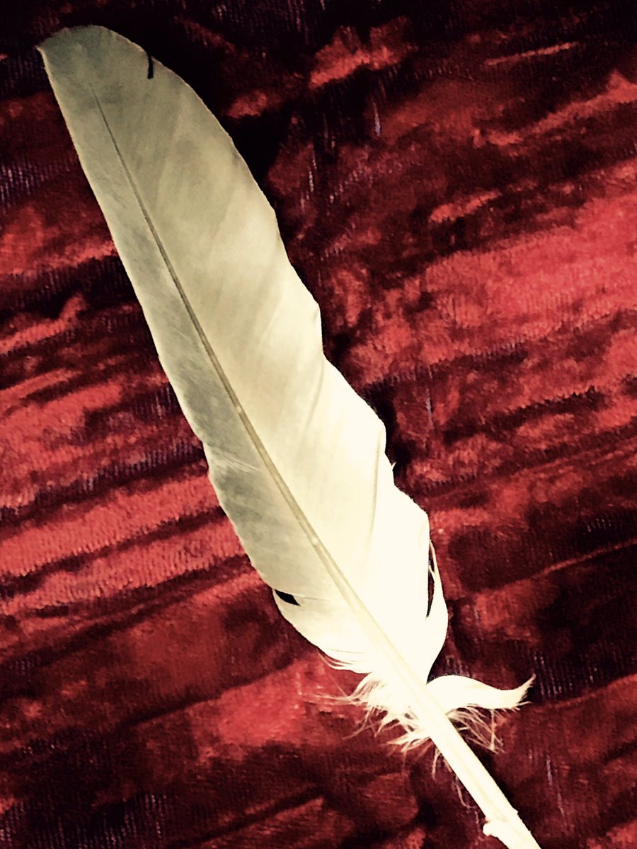 innerlifedirect's tweet image. X&amp;lt;•&amp;gt;X&amp;lt;•&amp;gt;X&amp;lt;•&amp;gt;X 
truth's power ...
the Resistance unfurling it
with serenity and confidence 
~~~~~~~~~~~~~~~~
#truthpower