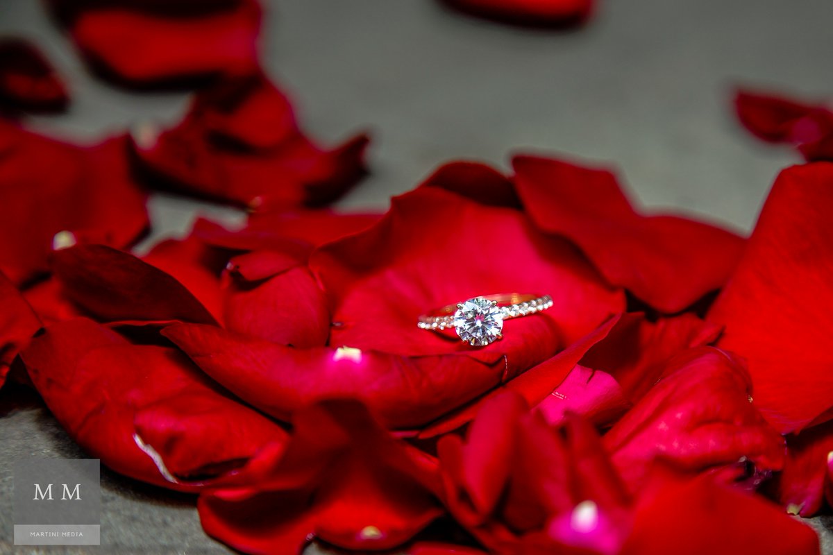 CatMartiniPhoto's tweet photo. Feelin the #love after a surprise #engagment shoot this weekend ❤ Check out how he popped the question: https://t.co/3YDd6frRg4 #photography https://t.co/CxI0TfQeQs