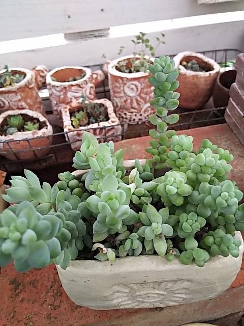 ビアホップ Twitter પર હ શટ ગ