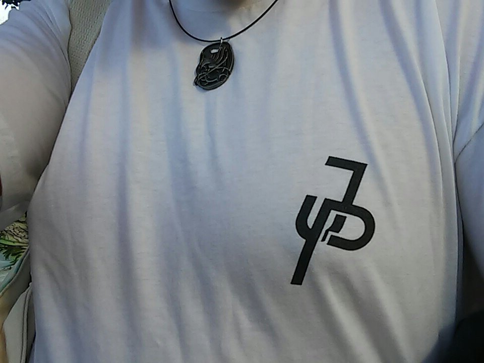 PTXisgod's tweet photo. @jakepaul @KadeSpice @Erika_Costell Repping the Jake Paul merch to see Pentatonix at Hollywood Bowl tonight. Pink camo in mail https://t.co/Gb72E4dxpB