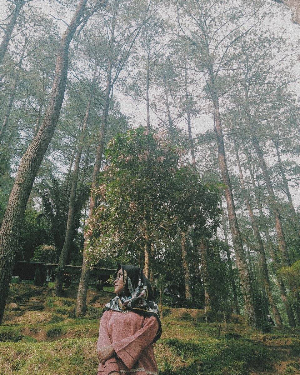 ayuayuSR's tweet photo. #antimainstream https://t.co/0KNPhi3qTC