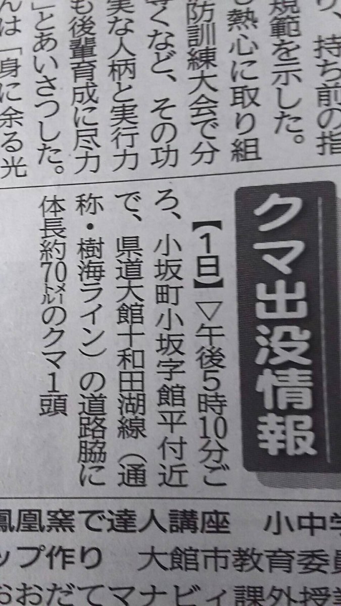 秋田県に体長70メートルのクマが出現 巨大なクマって聞くと ザ ワールドイズマインのヒグマドンを思い出す Togetter