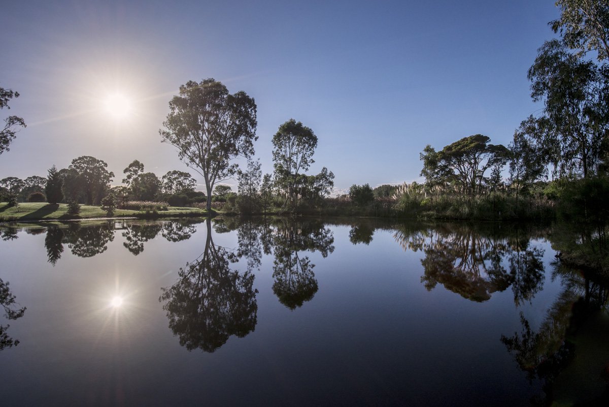 WyongGolfClub's tweet image. Picturesque images @WyongGolfClub #waterhazards