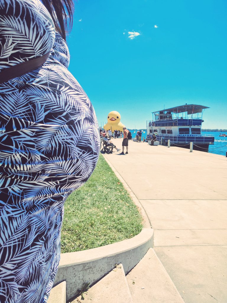 hipsterjing's tweet photo. We came and we saw the duck. #Canada150 https://t.co/PfWzeR2rIl