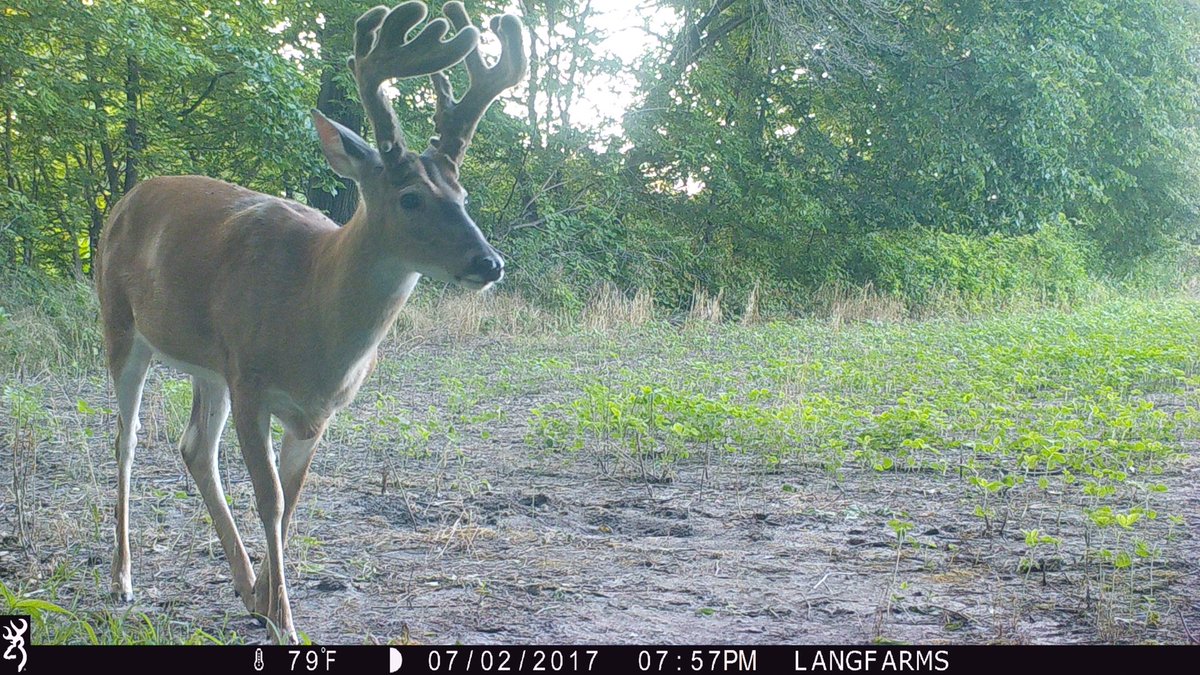 Bases jr??? Only time will tell!