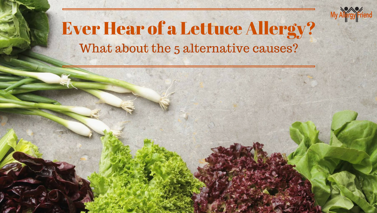 MyAllergyFriend's tweet photo. @Agi_FoodAllergy - Would your readers like this?
--> Ever hear of a Lettuce Allergy? What about the 5 Alternative...
https://t.co/G0ehLcs5ro https://t.co/Q7YZdlC6qS
