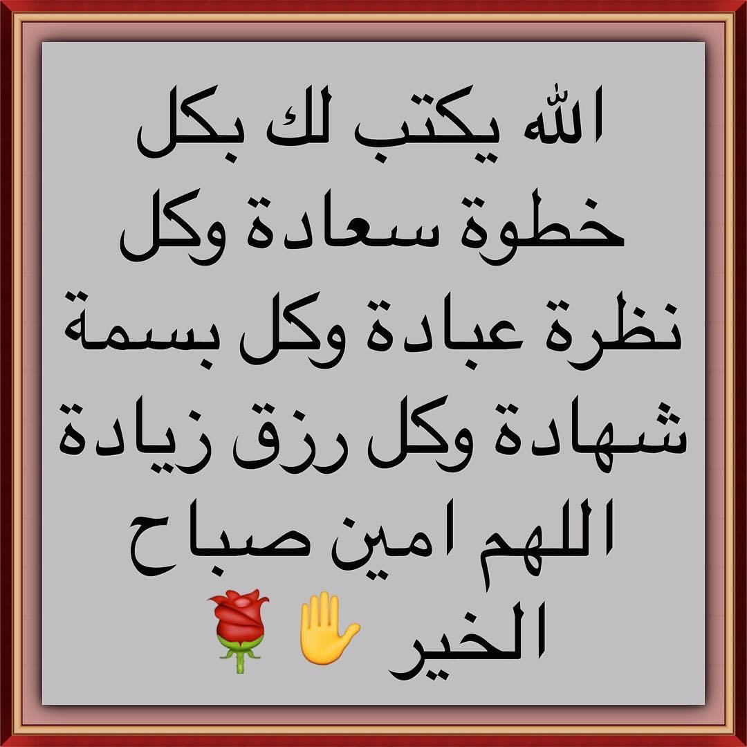 مايد ال علي (@3353338) on Twitter photo 