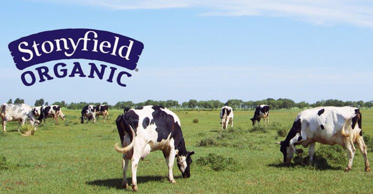 Danone is selling Stonyfield yogurt bit.ly/2szHHJc https://t.co/XAZruErvVJ