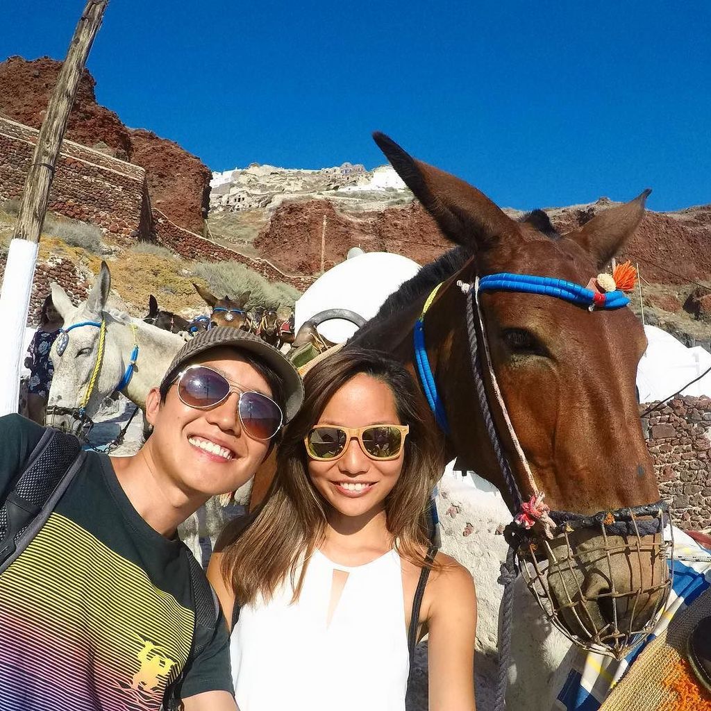 Pohtecktoes's tweet image. Who says three&apos;s a crowd. Always space for a horselfie! Though technically it&apos;s a donkey. #TheTravelIntern #Santor… ift.tt/2tGLC6c