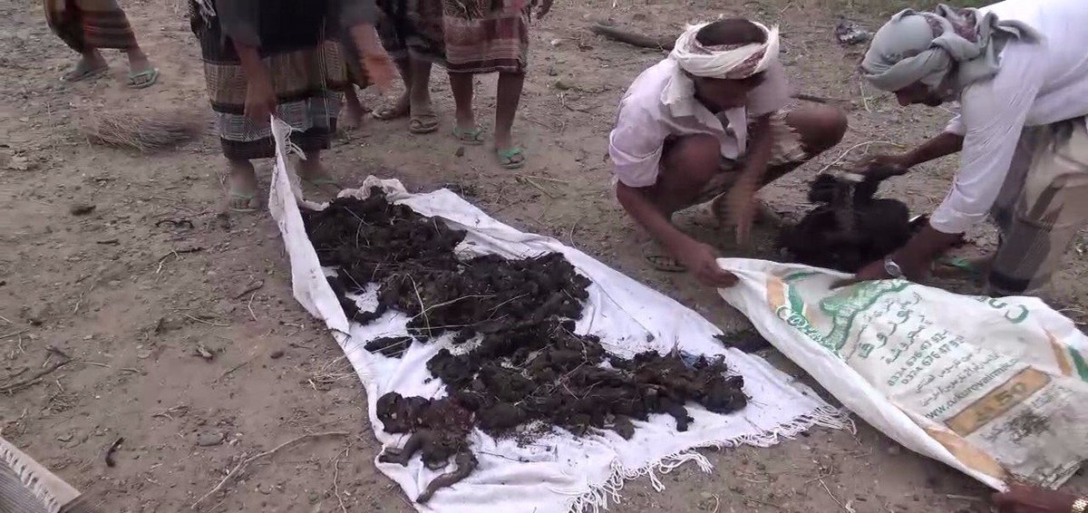 KUTUK Arab Saudi lancar serangan udara di al-Mukha, Yaman pada 3 Julai 2017. 

15 dibunuh; 8 wanita, 7 kanak-kanak rentung jadi sasaran bom.