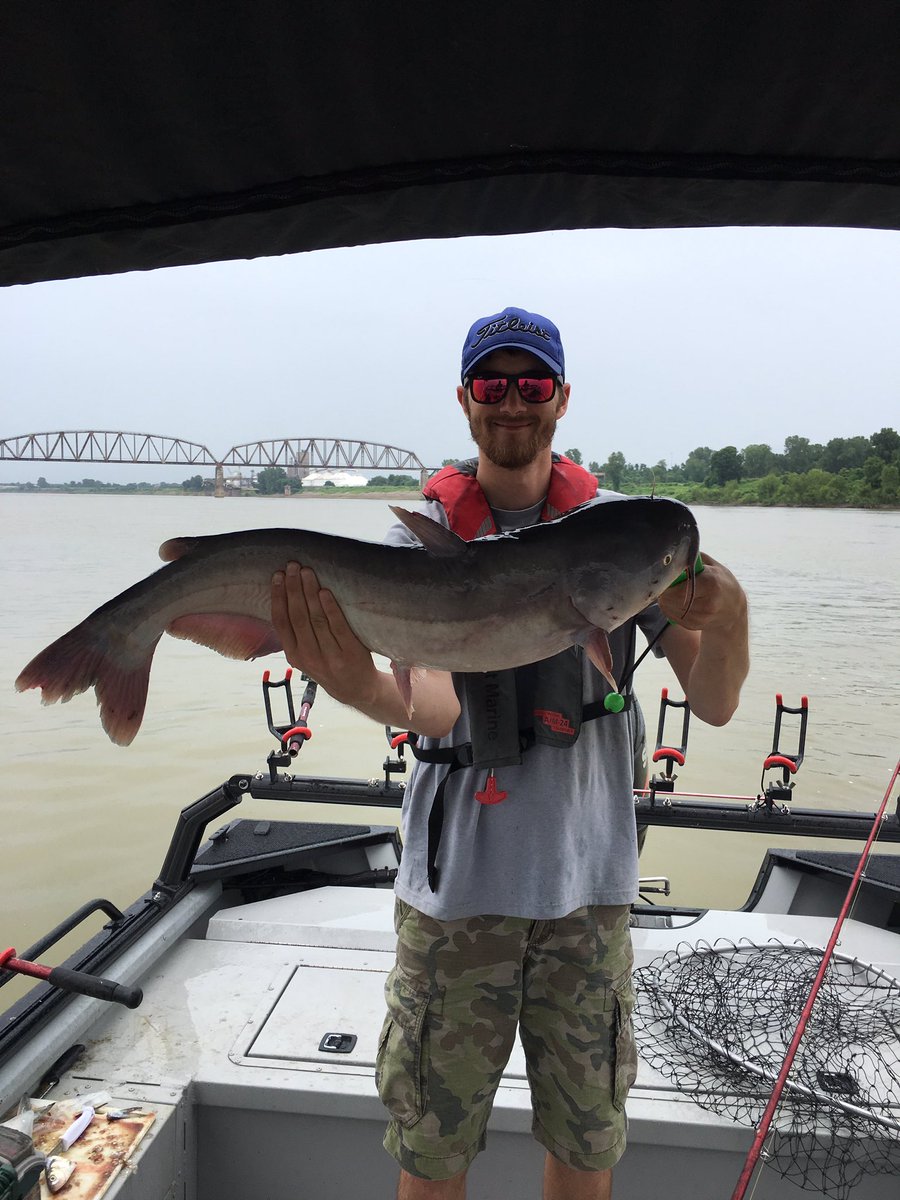 Hooked On Cats Guide Service tweet media