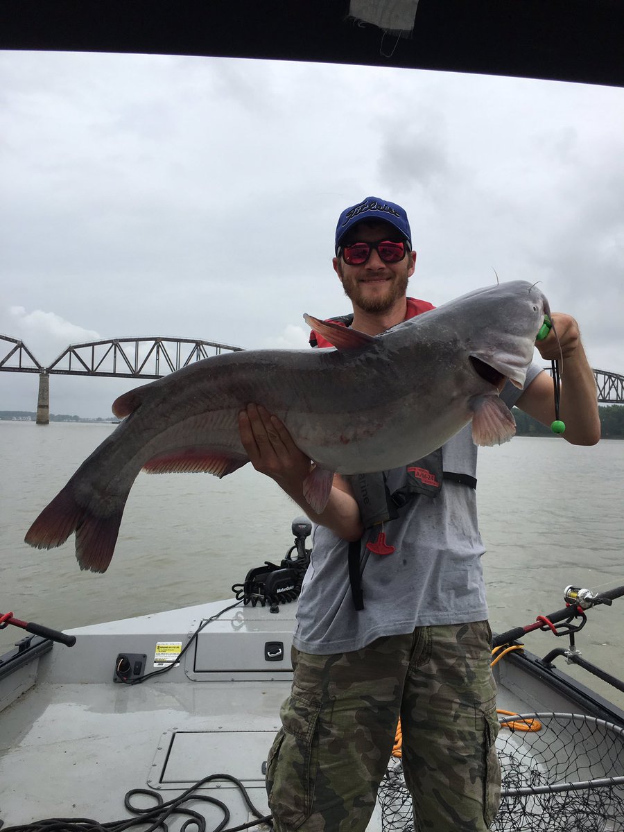 Hooked On Cats Guide Service tweet media