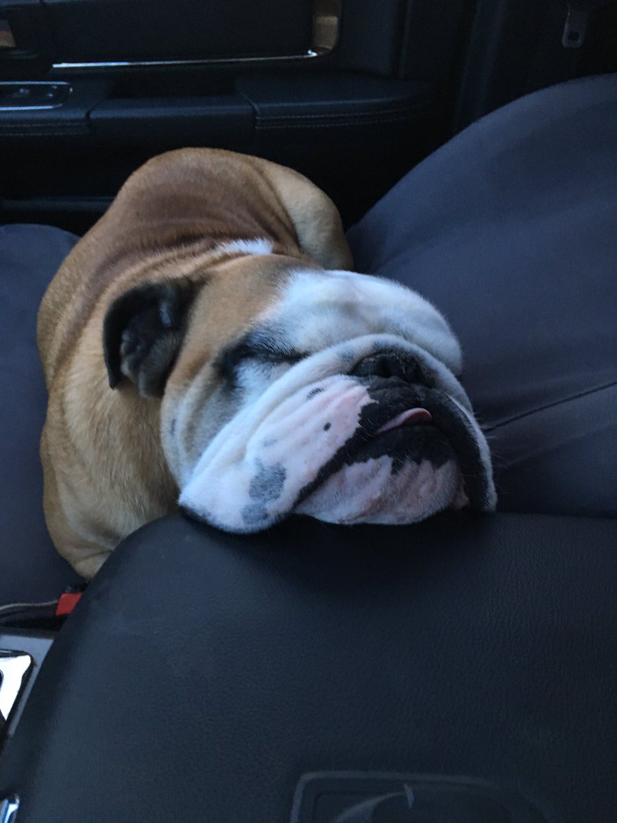 GARY LAMBERT tweet media