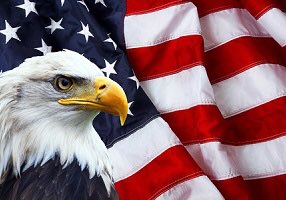 frankfm1007's tweet photo. Happy 4th of July!
Congratulations ✨ https://t.co/ukd6TmjxSN