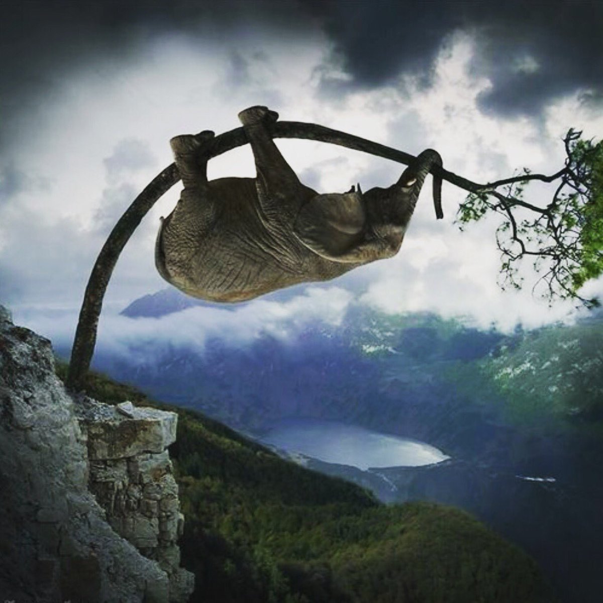 NordicEstates's tweet image. Your only limit is your mind...