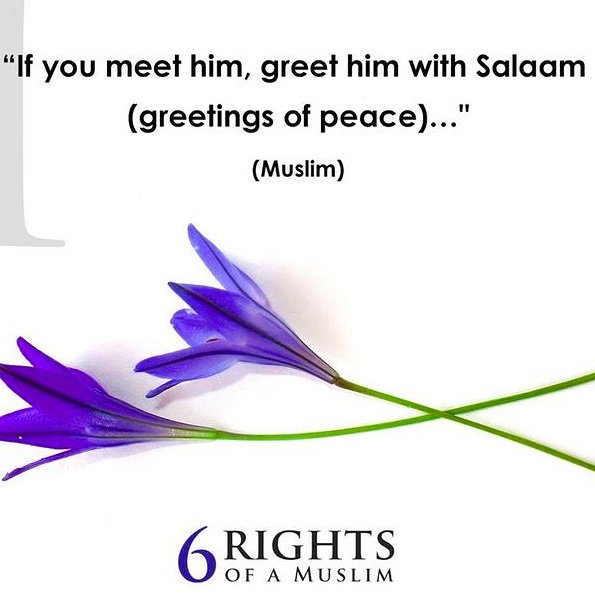 islamblossoms's tweet photo. #shawwalfast #fasting #Allah #blessings #dua #durood #islam #islamblossoms #Islamic #salaah #pray #love #quran #sunnah #muslim #salaam 🎀 https://t.co/JHZ71JQ1Bw