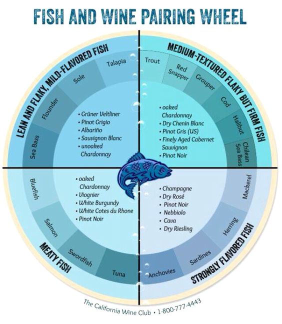 Fish and wine pairing - Great ideas and not all are white! #wine #winelover #fish #infographic <a href="/JMiquelWine/">Julien Miquel #Wine</a> <a href="/winewankers/">The Wine Wankers 🍾🤛🎉🥂</a> <a href="/MacCocktail/">MacCocktail (@MacCocktail.bsky.social)</a>